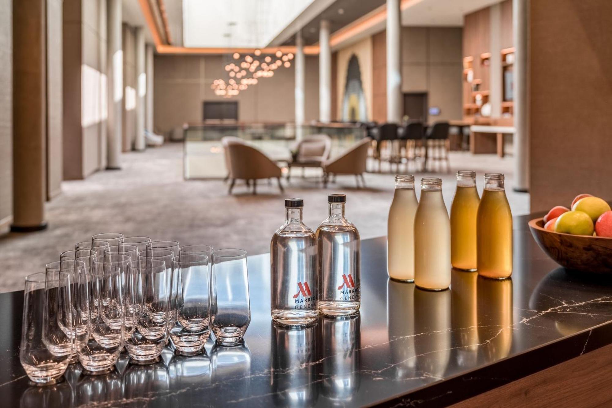 Geneva Marriott Hotel Мейрин Екстериор снимка
